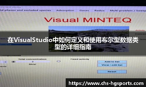 在VisualStudio中如何定义和使用布尔型数据类型的详细指南